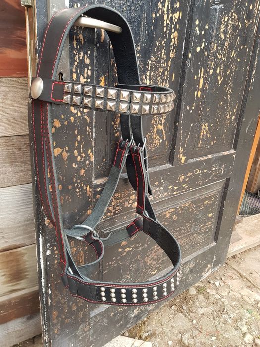 Кантар вуздечка наголовник