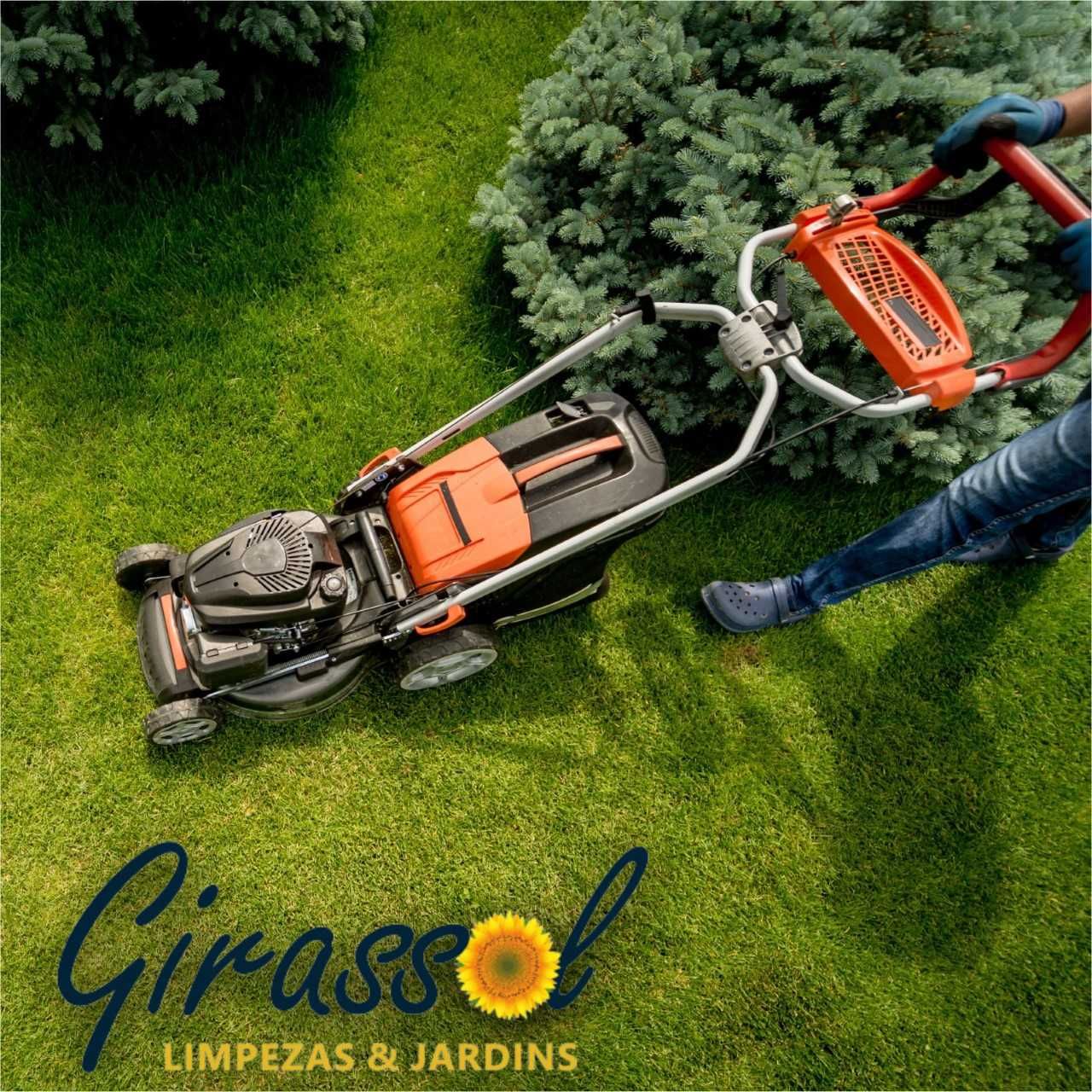 Empresa Girassol
Manutenção de Jardins 
Serviço de Limpeza