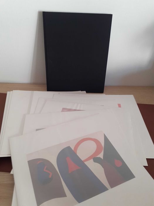 Livro com 20 reproduções - Nikias Skapinakis Pintura Séculos XX XXI