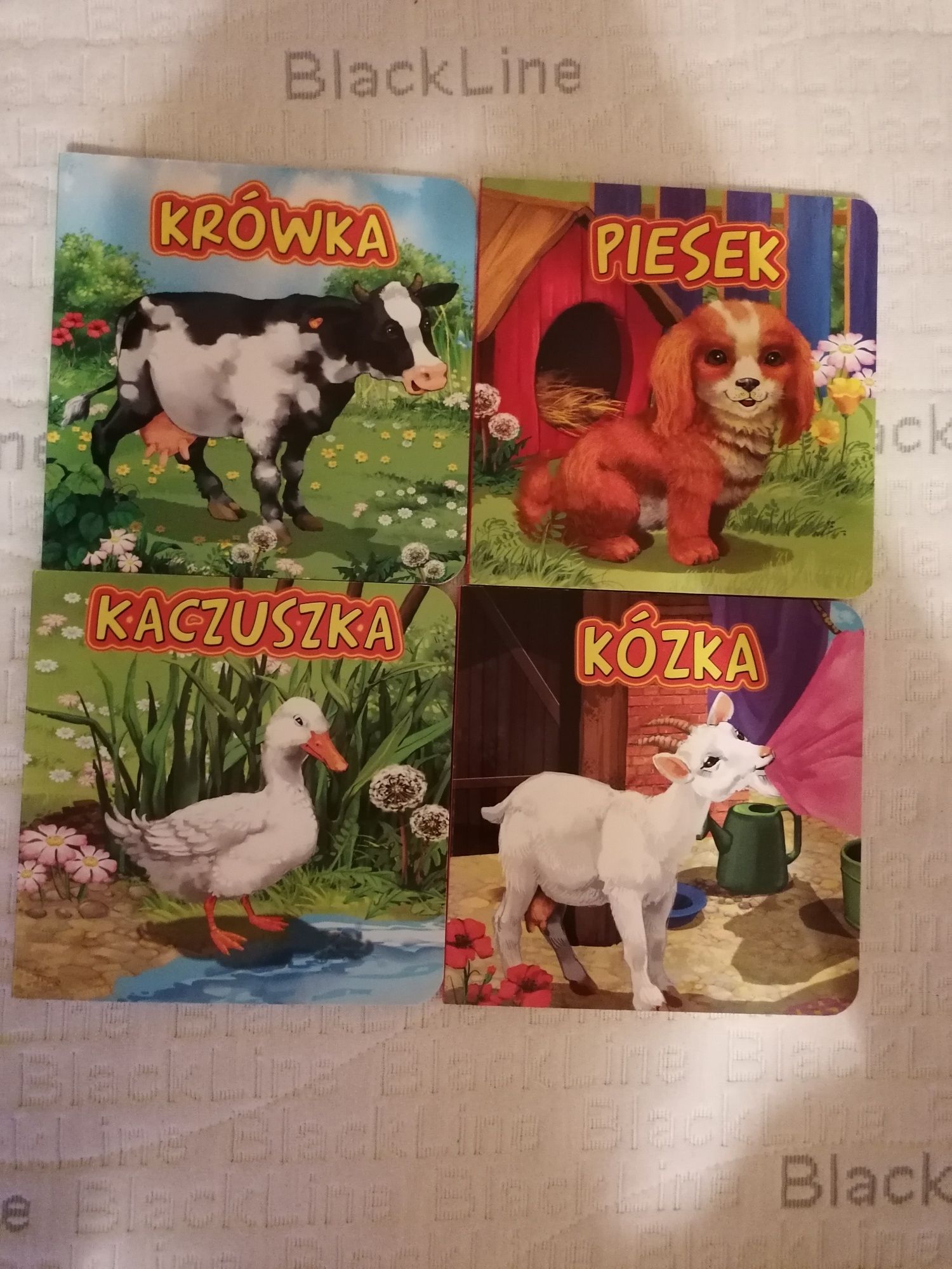 Książeczki 11sz  zwierzątka.