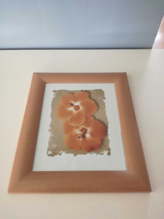 Obrazki z motywem kwiatów