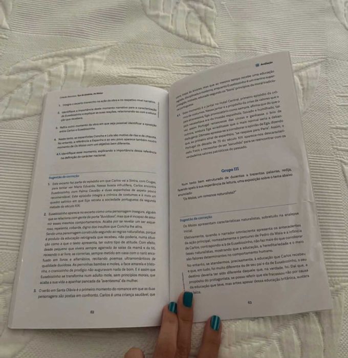 Os Maias - Resumo