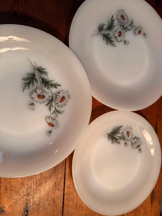 Vintage Serviço Arcopal Malmequeres