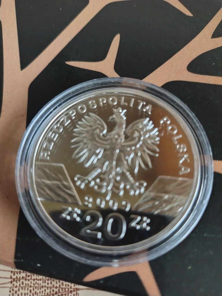 20 zł srebrne jaszczurka zielona