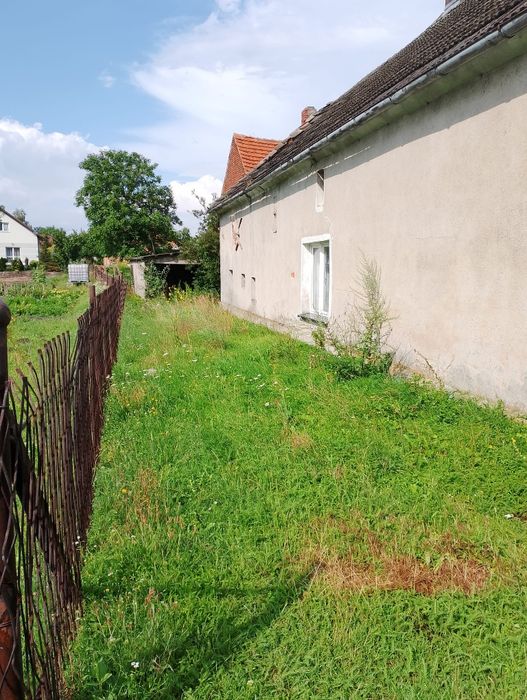 Dom w Gogołowicach w cenie mieszkania