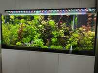 Oświetlenie Akwarium 450l , 270 wat , 33tys lumenów