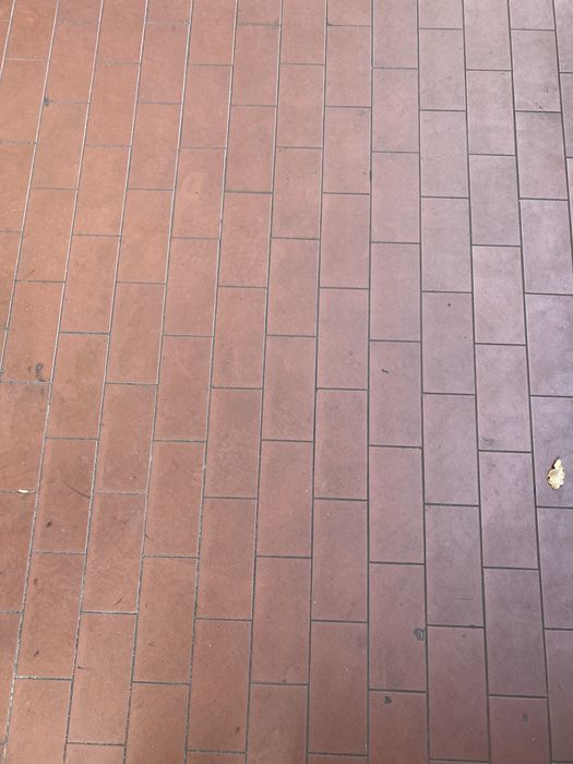 Mieszkanie do wynajecia zagan