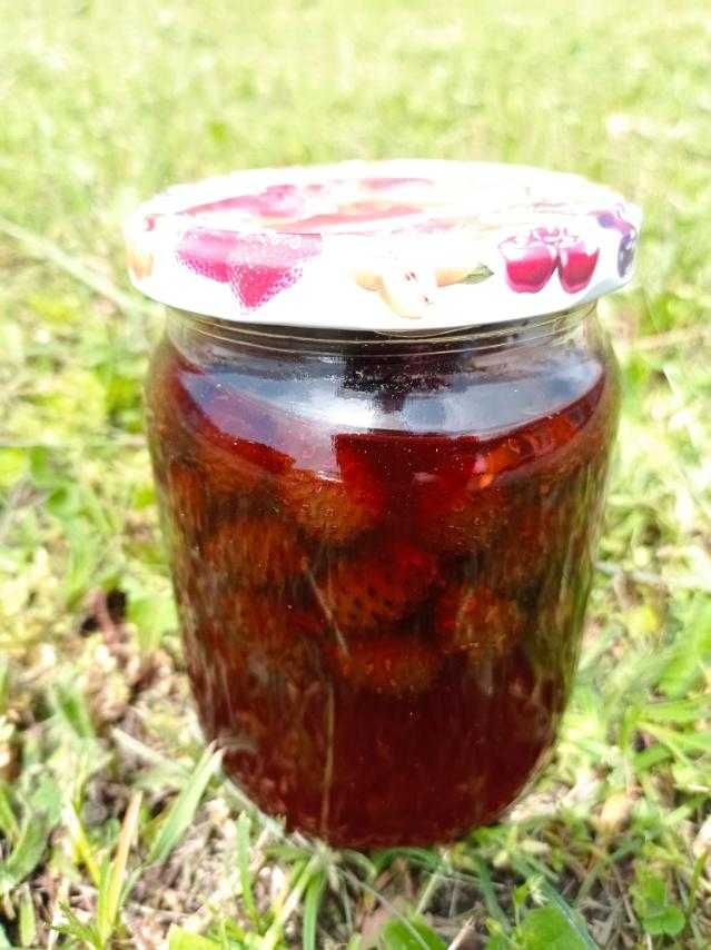 Соснові Шишки  з Карпат