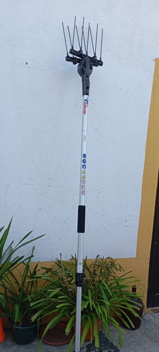 Varejador de azeitona,