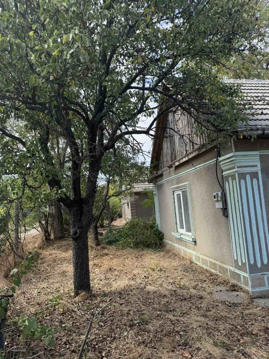 Земельна ділянка+ будинок (Випасне)