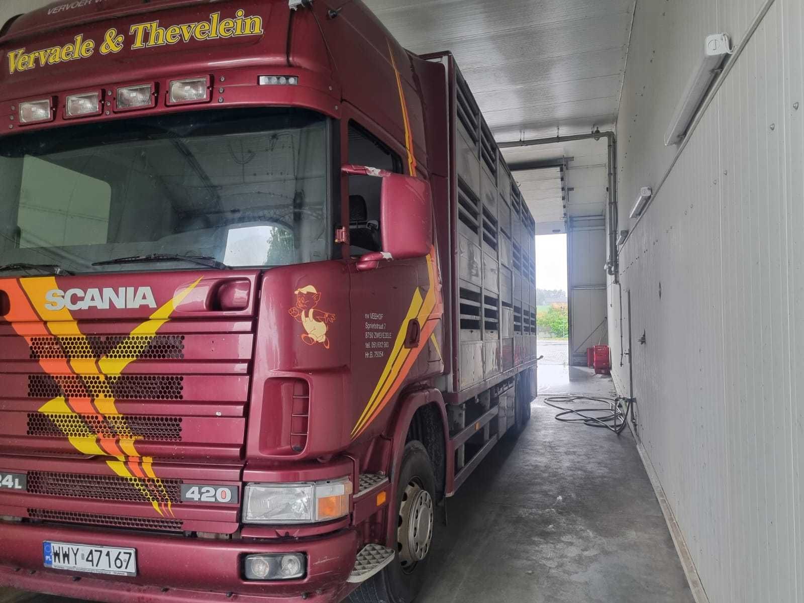 Scania R 124 420 DO ŻYWCA