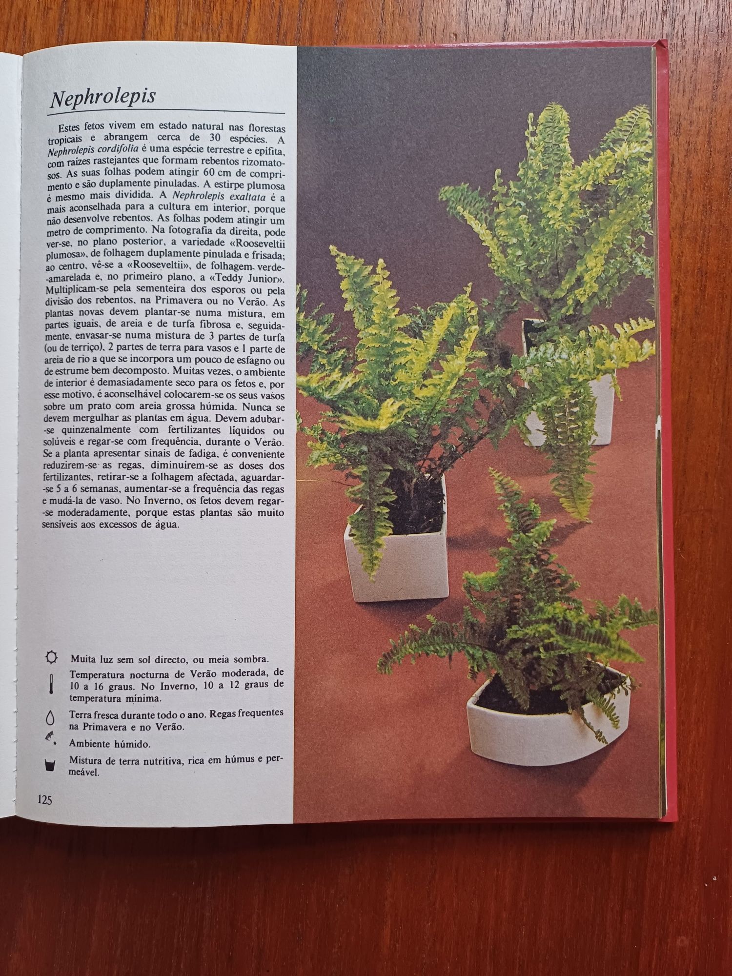 O Livro das Plantas de Rob Herwig e Claude Riou