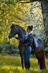 Kuc Welsh Pony , klacz