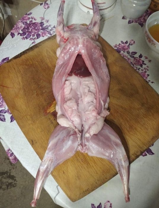 Мясо кролика кролятина кріль м'ясо