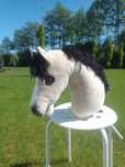 Hobby horse z kijem
