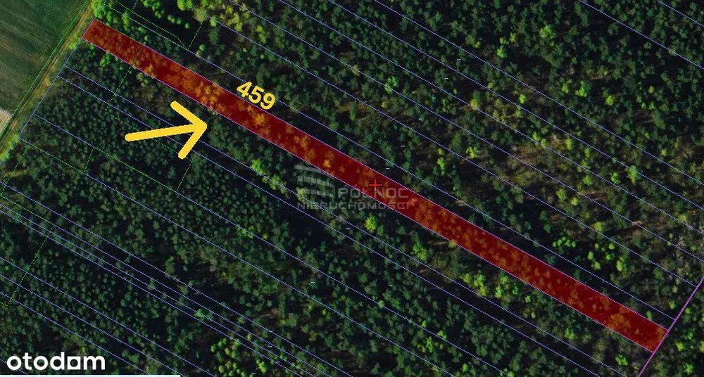 6 działek leśnych – Gertrudów, gm. Gomunice