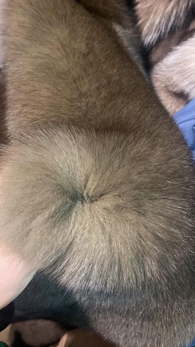 Женская чёрная парка, куртка с финским песцом под соболь, 42-60 размер