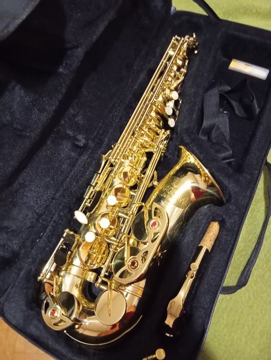 Продам альт-саксафон Yanagisawa Japan