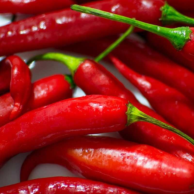 Sadzonki Papryka Chili De Cayenne OSTRA, cukinia,koper dynia jarmuż