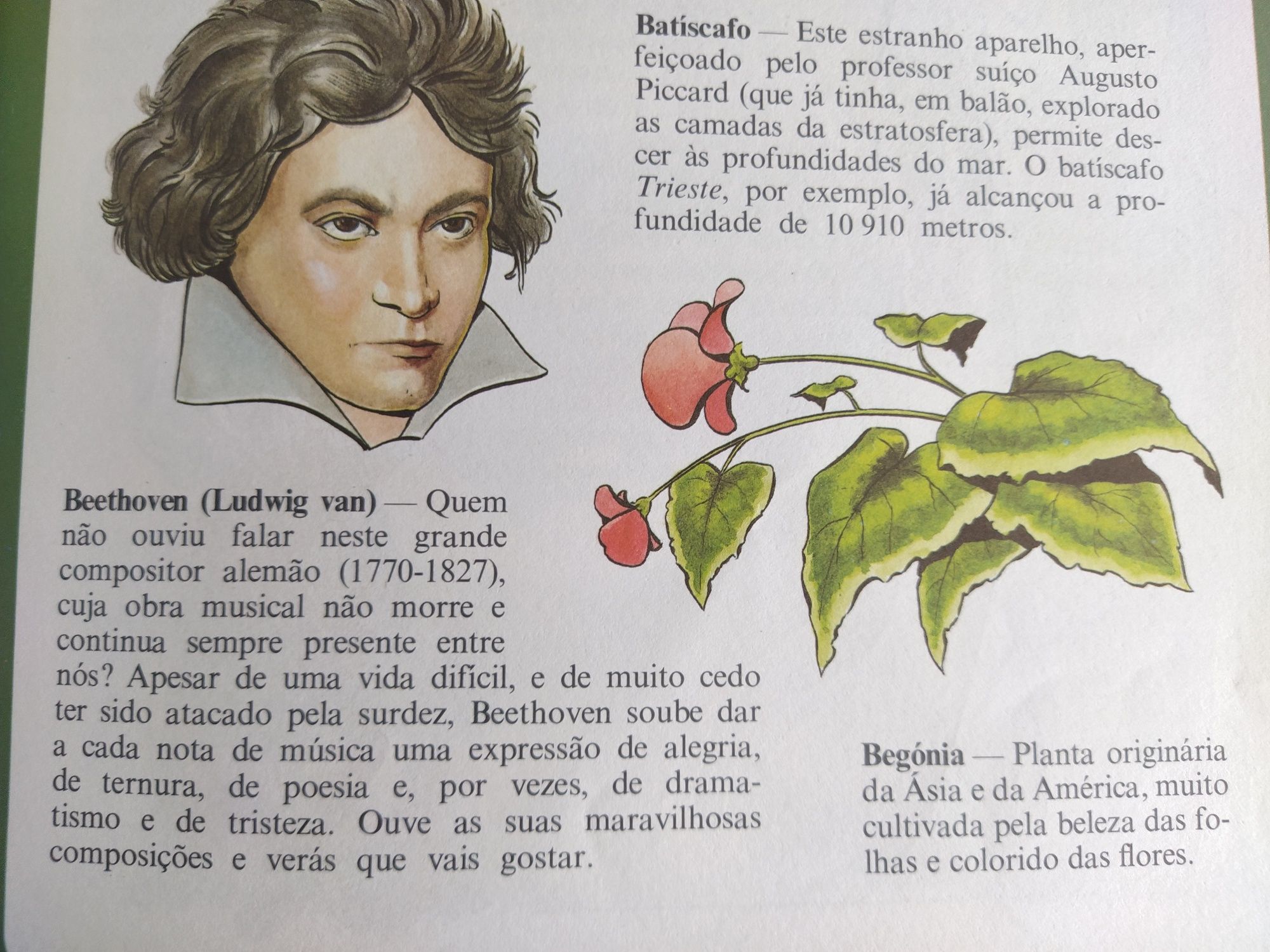 Enciclopédia infantil ilustrada / Enciclopédia Fundamental Verbo