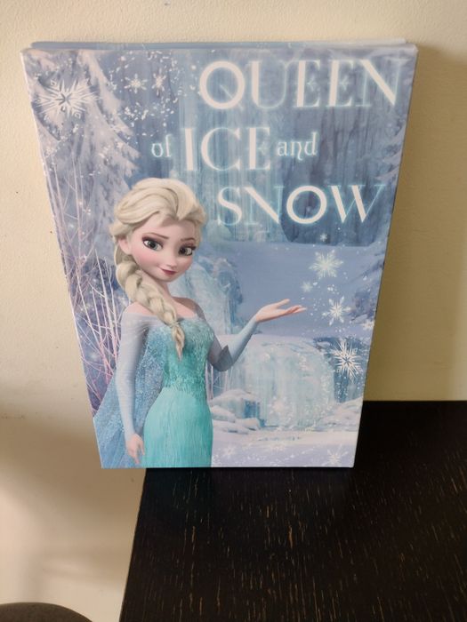 Obrazy na płótnie Kraina Lodu