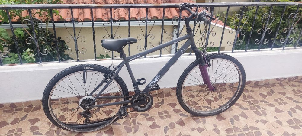 Bicicleta adulto bike tour