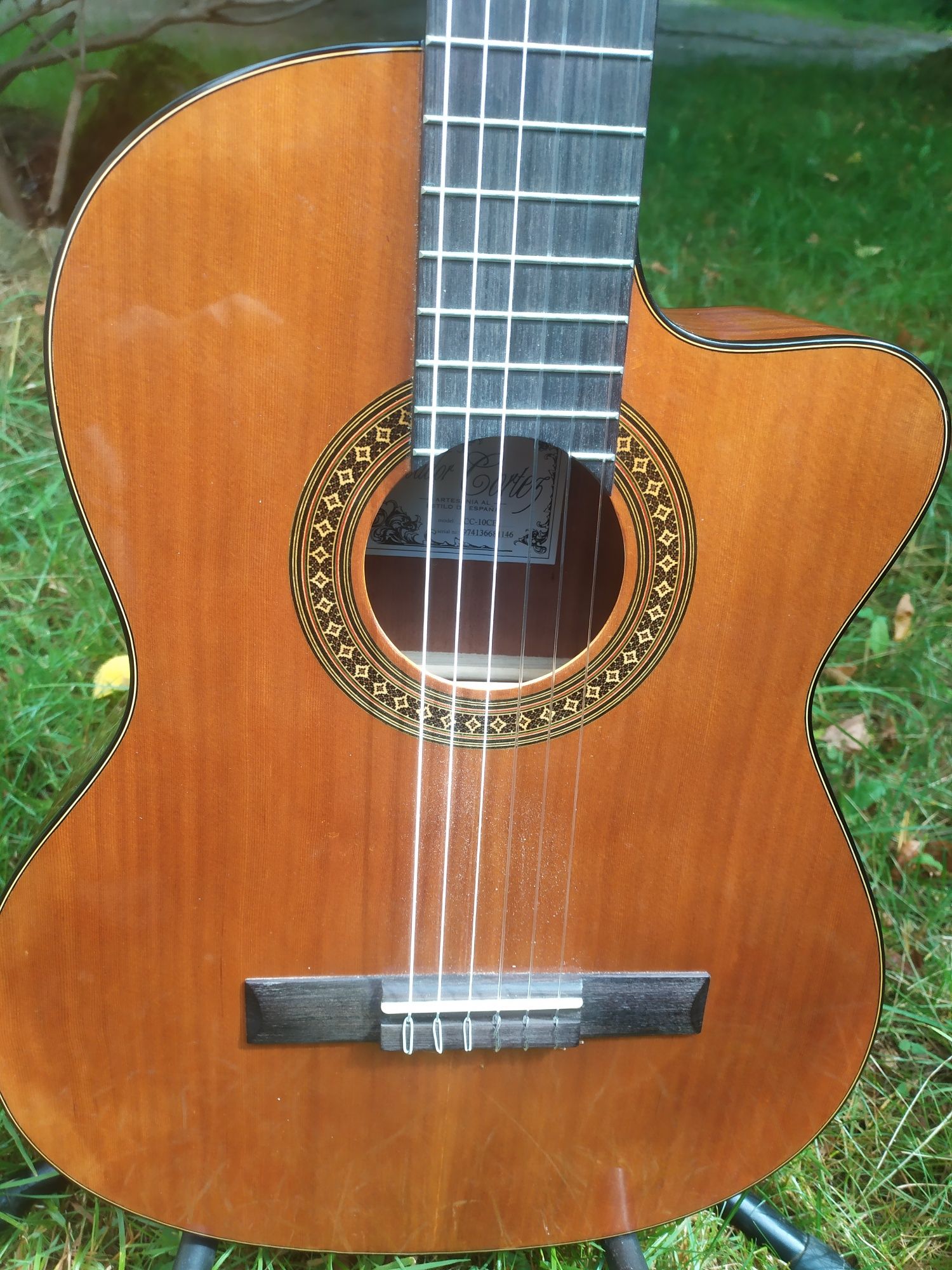 Gitara elektroklasyczna Salvador Cortez
