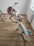 Rower le grand miejski