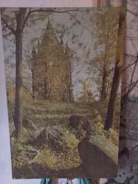 Картина, Старая Башня