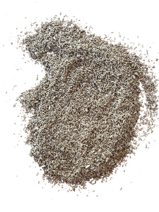 Słonecznik łuskany II gatunek pokarm do karmnika 20 kg GRATIS kula im