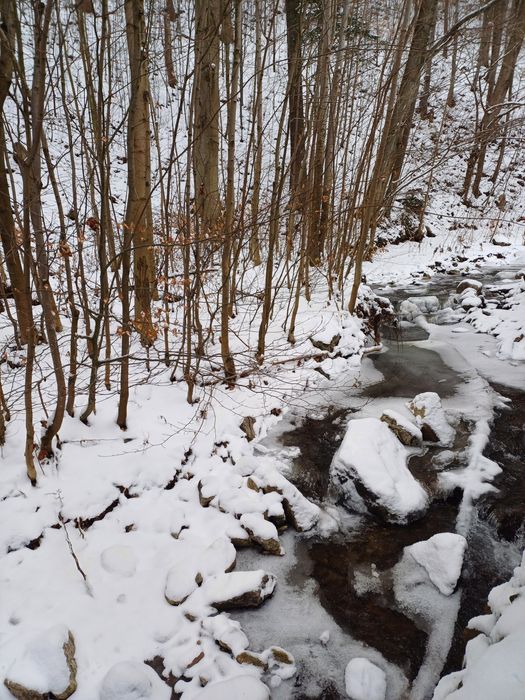 Agroturystyka Zacisze Sokolec, noclegi Góry Sowie