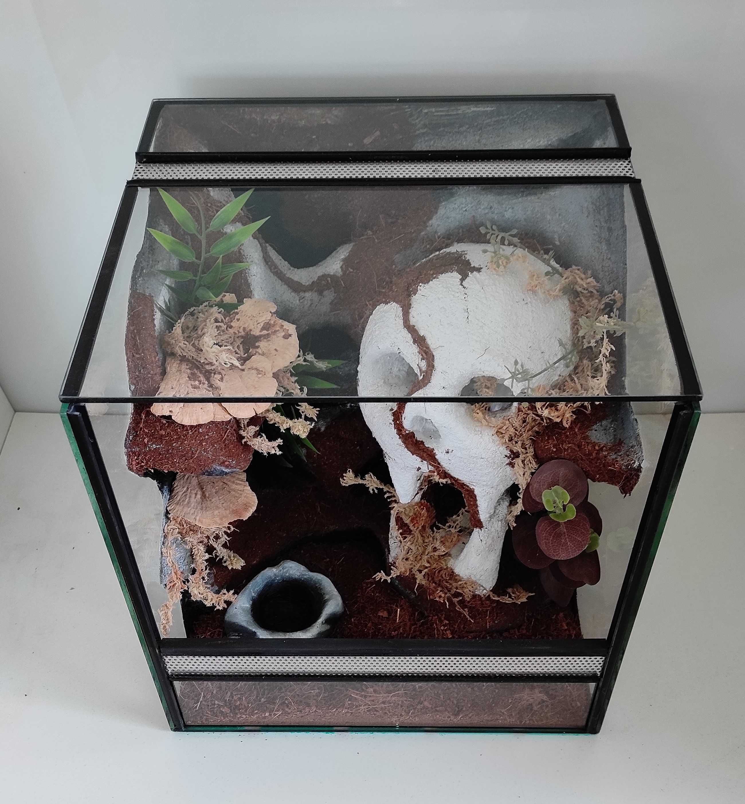 Terrarium dla ptasznika, lasiadory, TW16CzB, AquaWaves