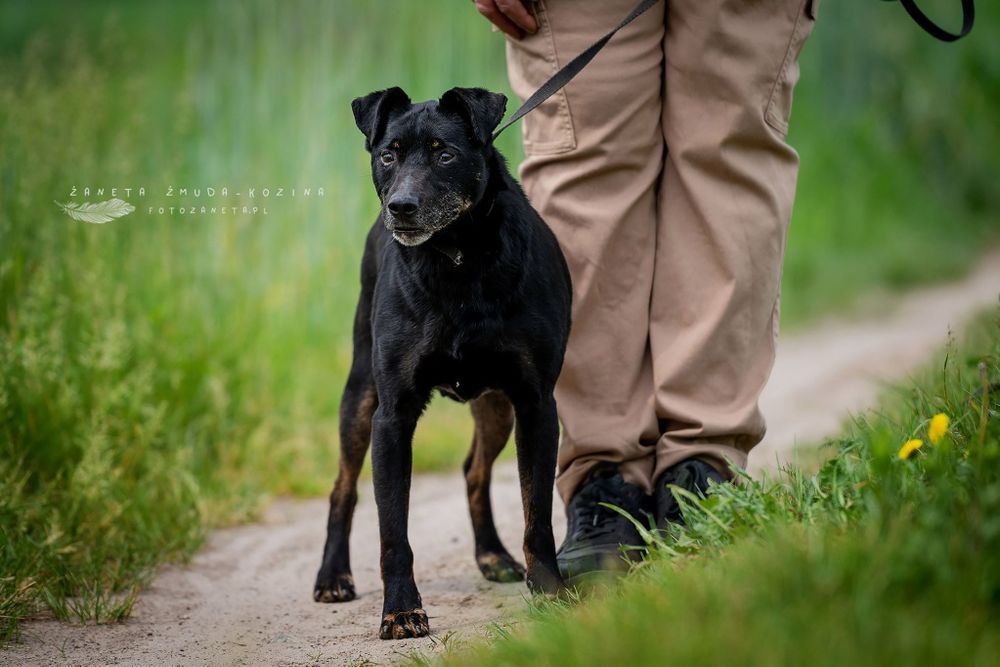Kuba prosi o dom na ostatnie lata swojego życia.