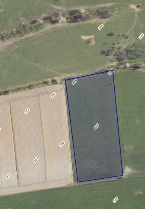Działka rolno-rekreacyjna 1,11 ha – Wojciechowice koło Kłodzka Dolnośl