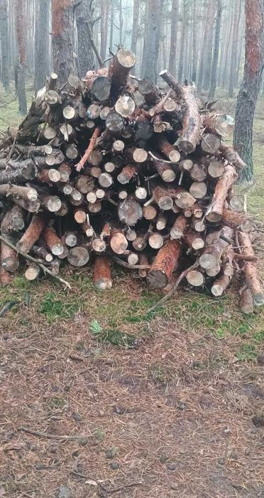 Drewno opalowe TANIO