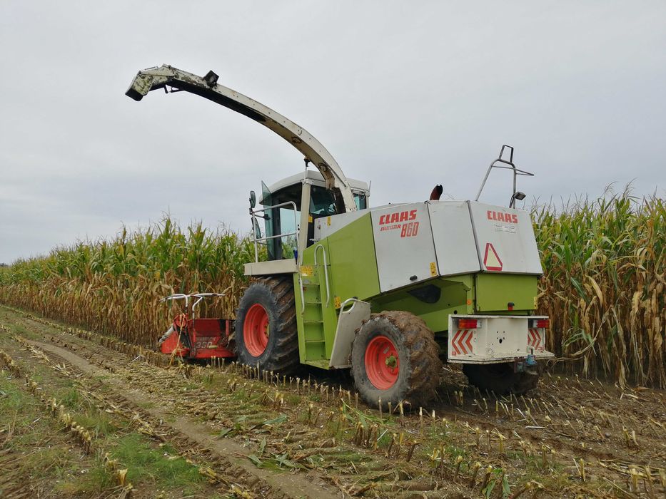 Sieczkarnia Class Jaguar 860 + Kemper 345 w trakcie sezonu nowe noże