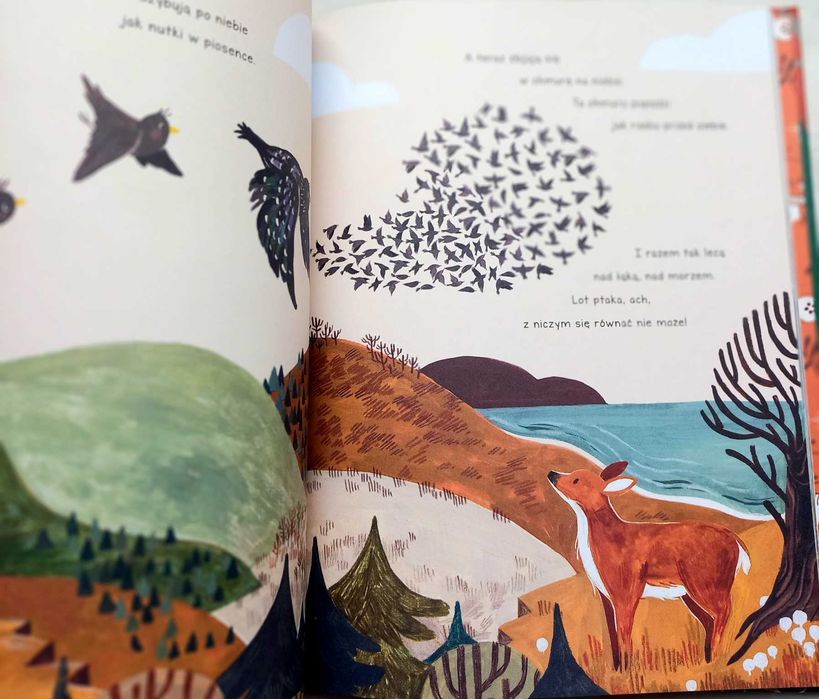 Opowieści 5 minut przed snem. Cuda w lesie.