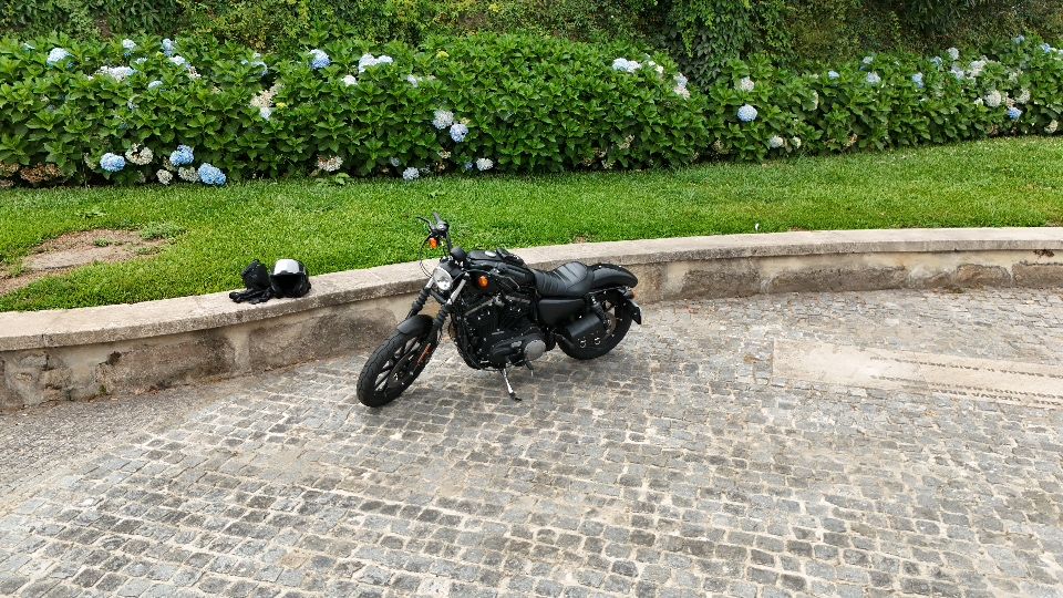 Harley-Davidson IRON 883 XL