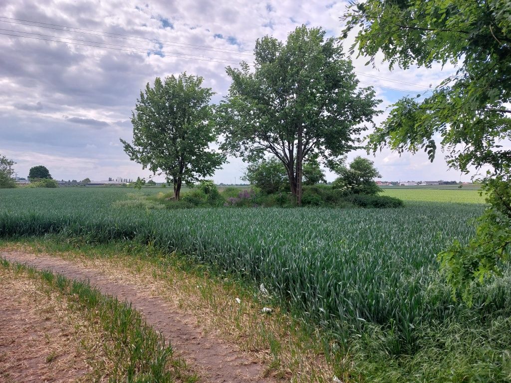 Sprzedam b. ładną działkę budowlaną Inowrocław