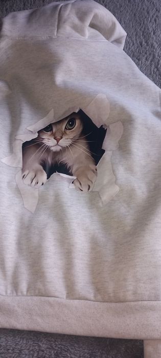 Duas camisolas com capuz