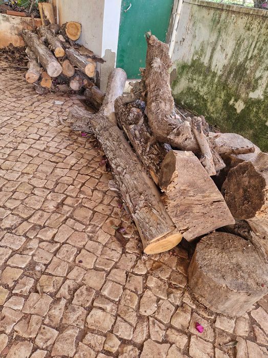 Lenha em bruto para lareira