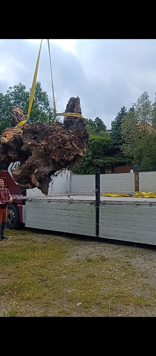 Transport ciężarowy, usługi hds Jelenia Góra, kraj