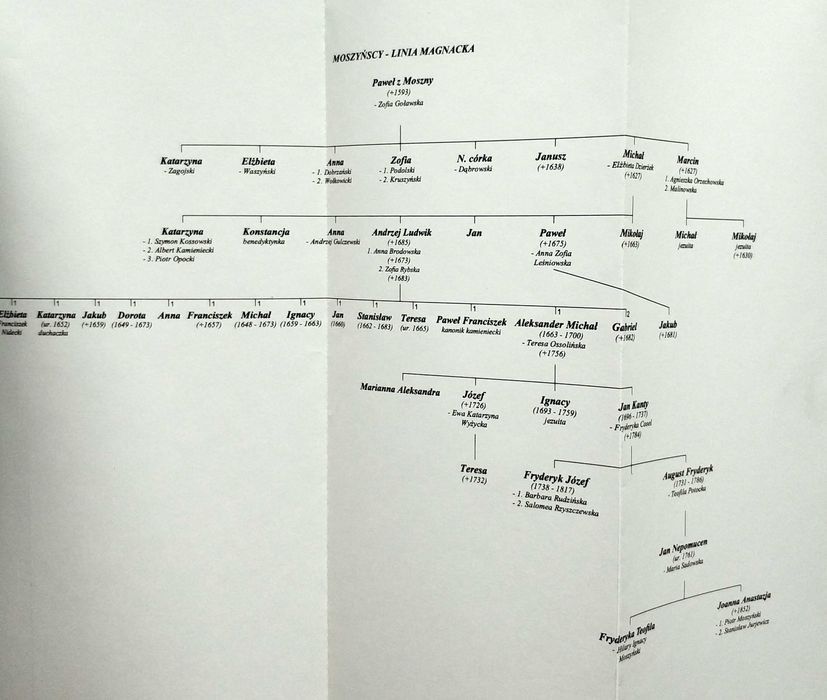 MOSZYŃSCY Studium z dziejów łoniowskiej linii rodu w XIX wieku, UNIKAT