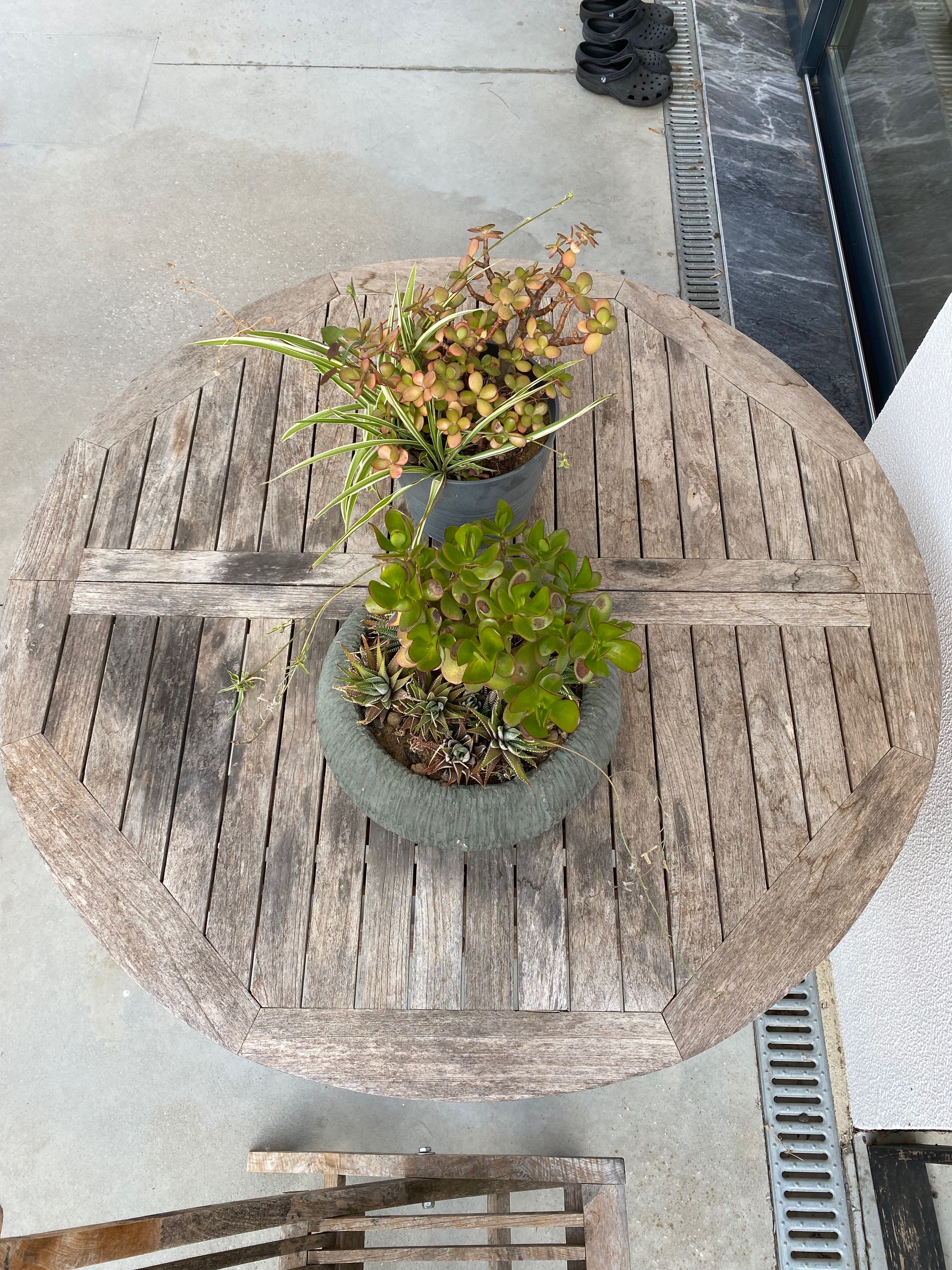Conjunto mesa madeira e 7 cadeiras - Extensível+buraco para guarda-sol
