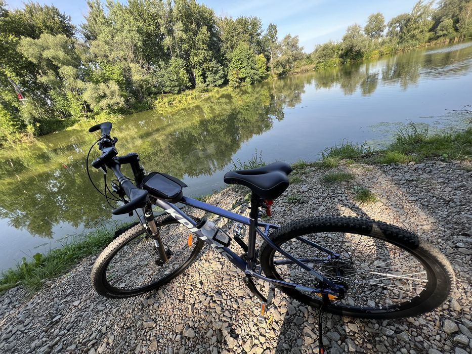Rower damski Kellys Spider 80 M 29
