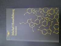 Livro "Serotonina"