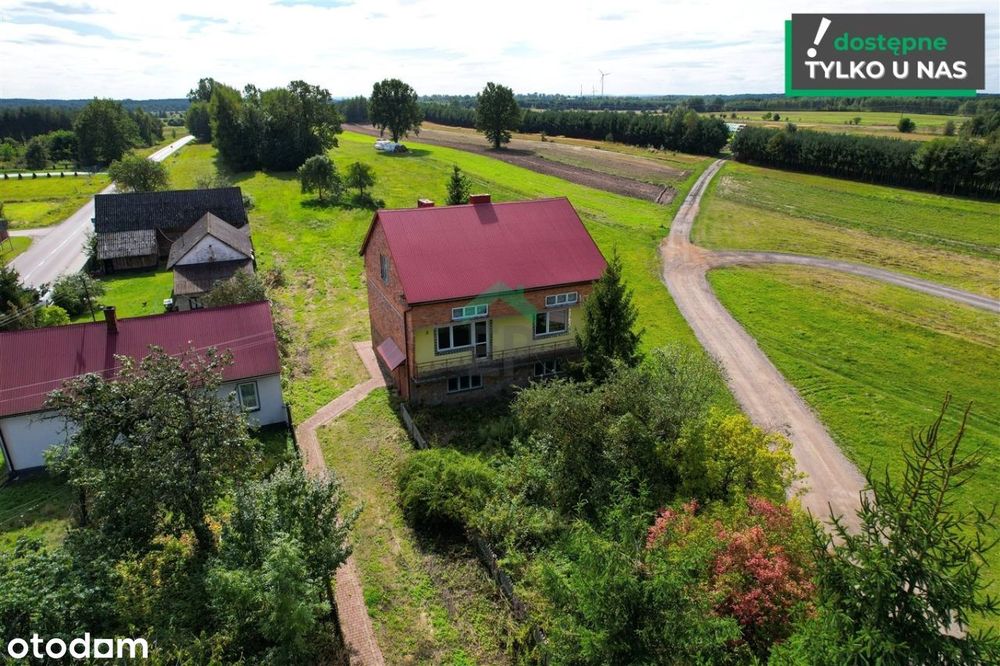 Dom w Okołowicach na sprzedaż - widok na las.