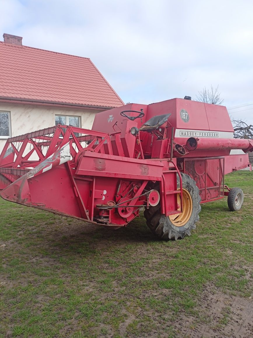 Massey Ferguson 187 MF 186 kombajn zbożowy