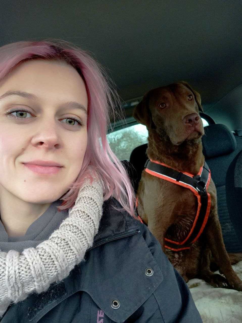 Wyprowadzanie Psów, opieka nad zwierzętami (koty i psy), petsitter