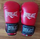 Боксерские перчатки Everlast